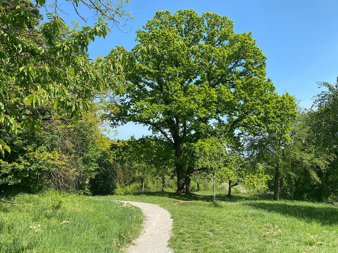 003 Harleshausen Kassel